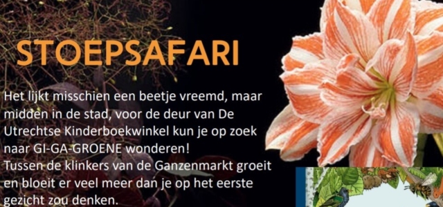 De Utrechtse Kinderboekwinkel